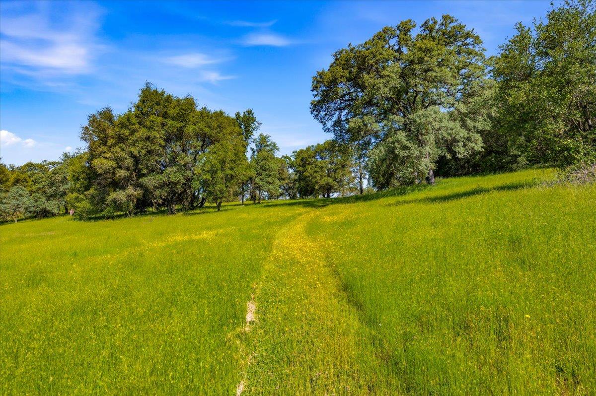 10677 Lazy Valley Road Penn Valley, CA 95946 - Photo 51 of 65