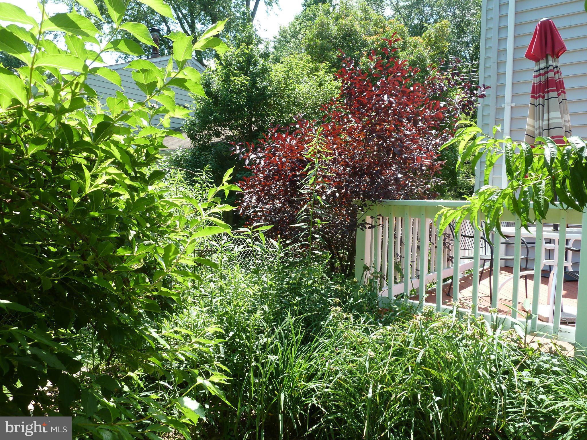 4254 Briars Road Olney, MD 20832 - Photo 27 of 30 Commune with nature! Such Privacy!