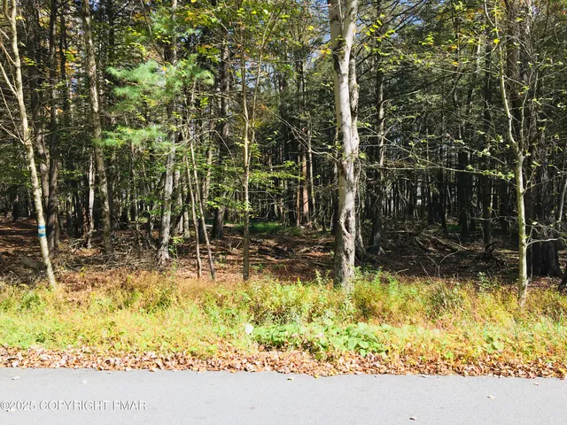 a view of backyard with green space