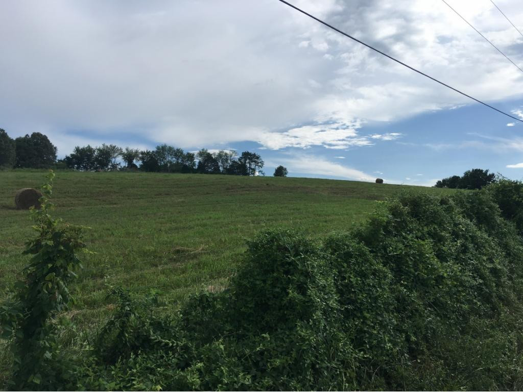 0 Birds Bridge Road Greeneville, TN 37743 - Photo 5 of 5 Photo 6