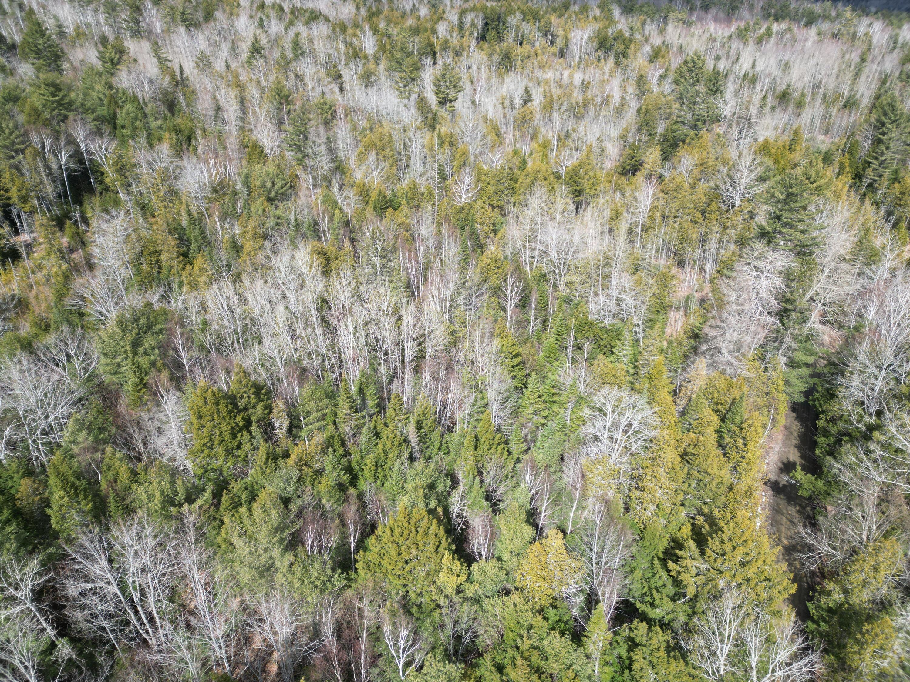 Lot 32 Weir Pond Road Lee, ME 04455 - Photo 5 of 14 DJI_0947