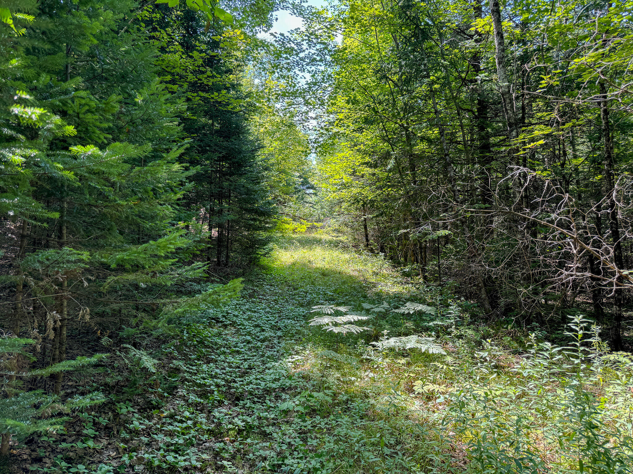 M9-l20-1 Valley Road Etna, ME 04434 - Photo 29 of 33