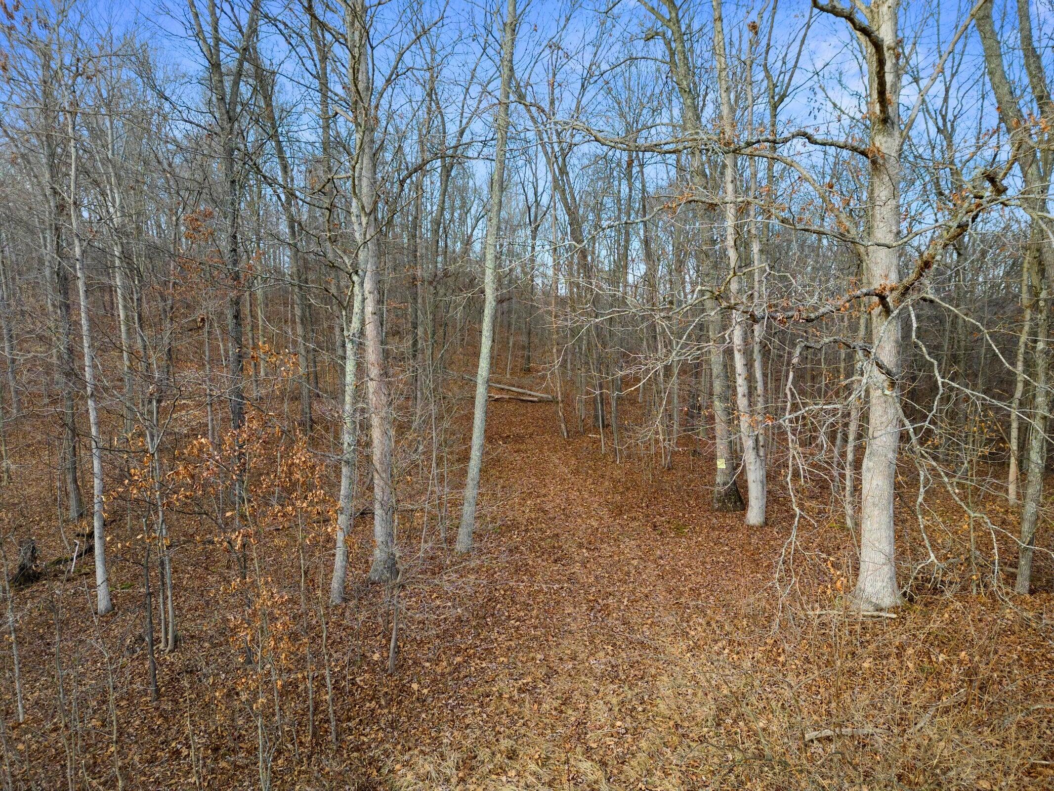 0 Buckley Run Road Athens, OH 45701 - Photo 25 of 36 20240116153809696363000000-o