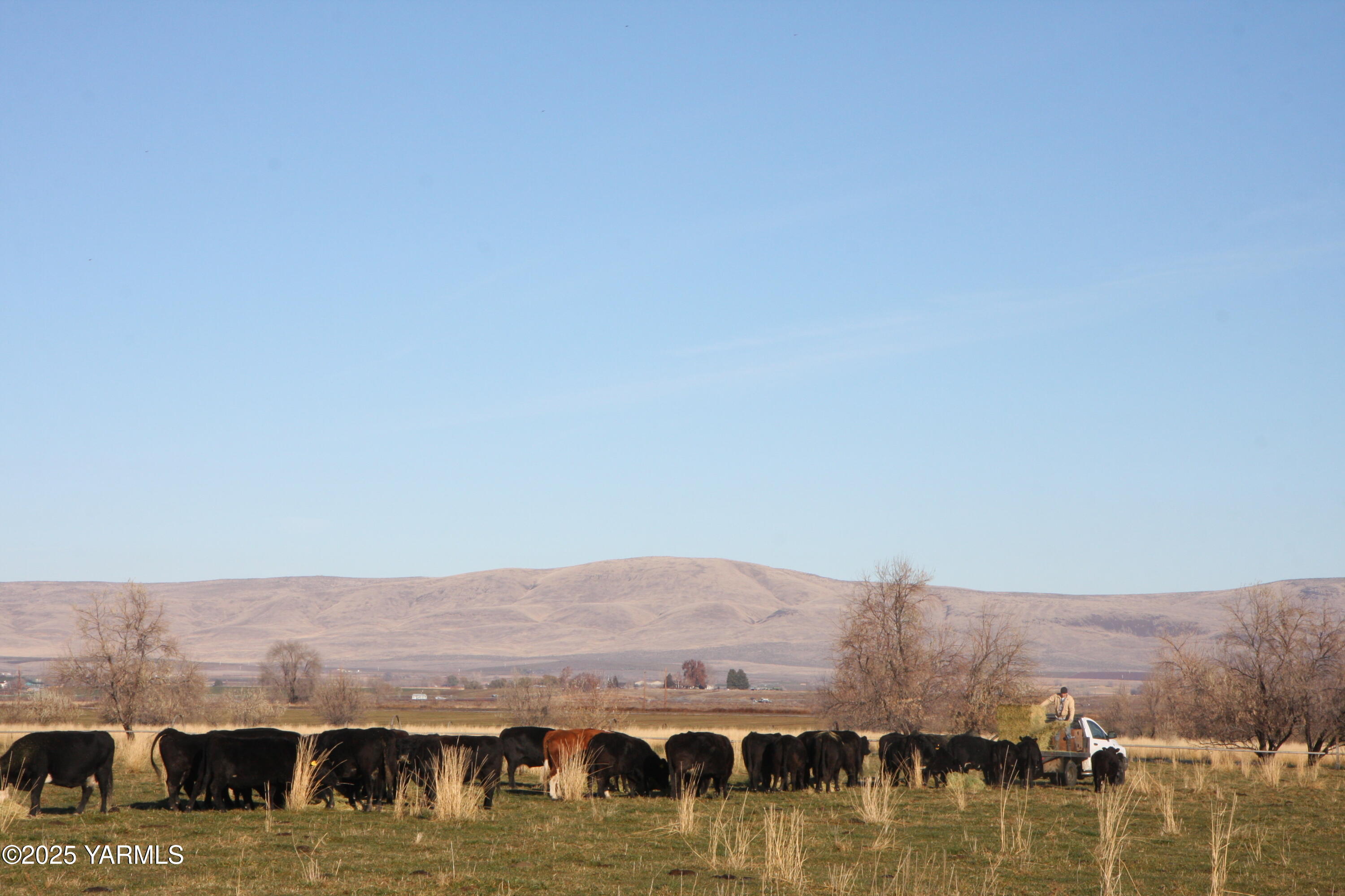 12004 Branch Road Harrah, WA 98933 - Photo 54 of 71 12004 Branch Rd