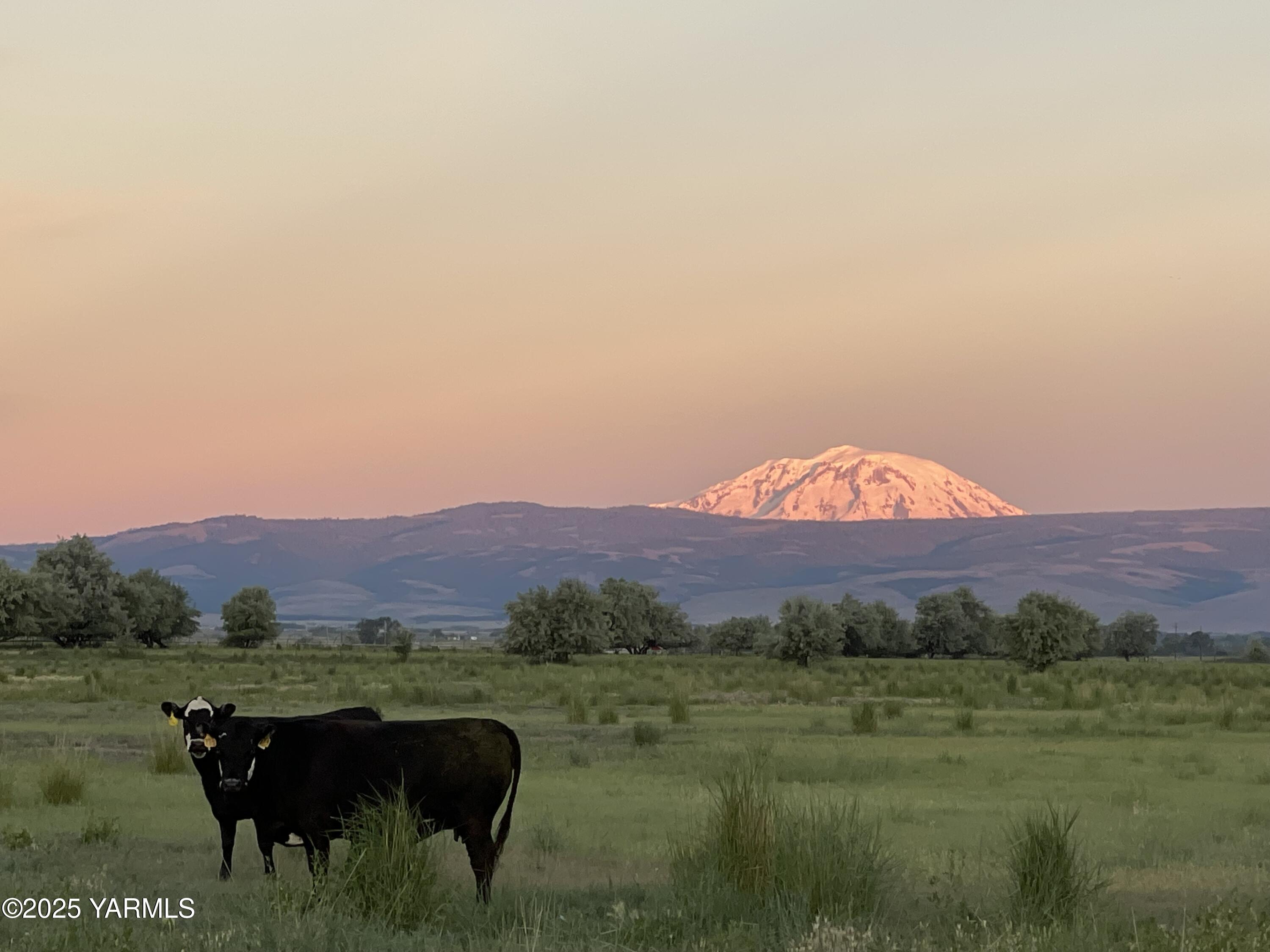 12004 Branch Road Harrah, WA 98933 - Photo 55 of 71 a view of an outdoor space with mountain view