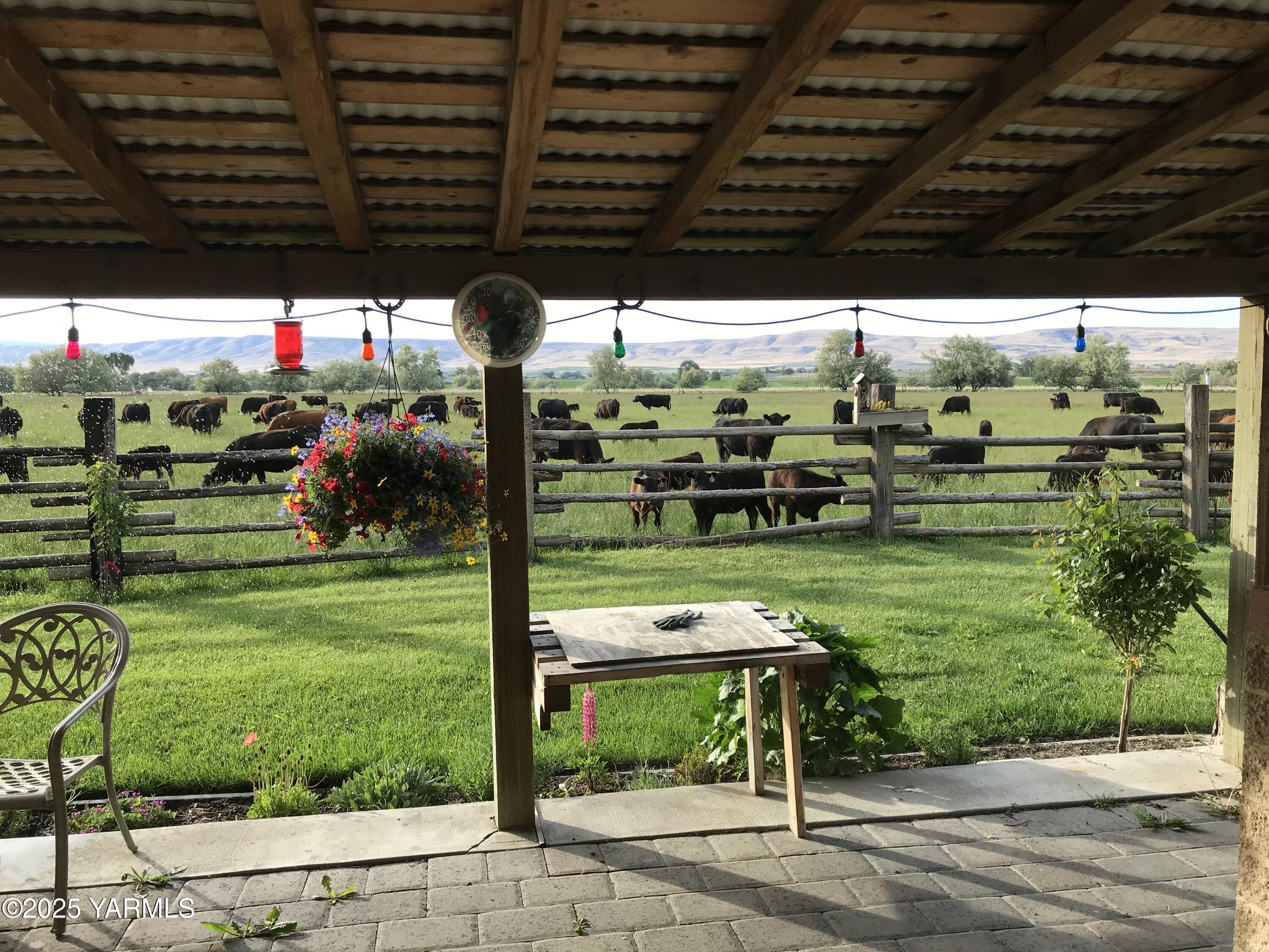 12004 Branch Road Harrah, WA 98933 - Photo 8 of 71 a backyard view with a garden