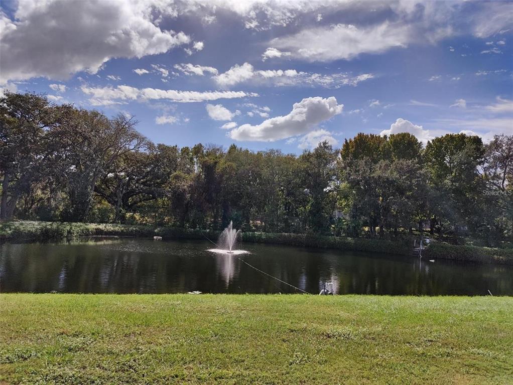 1600 Old Coachman Rd., Unit 716 Clearwater, FL 33765 - Photo 14 of 15