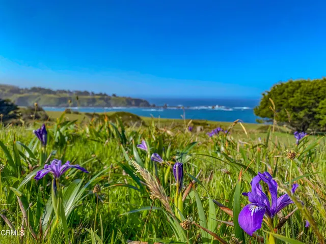 $6,995,000 | 3400 Highway 1, Albion, CA 95410