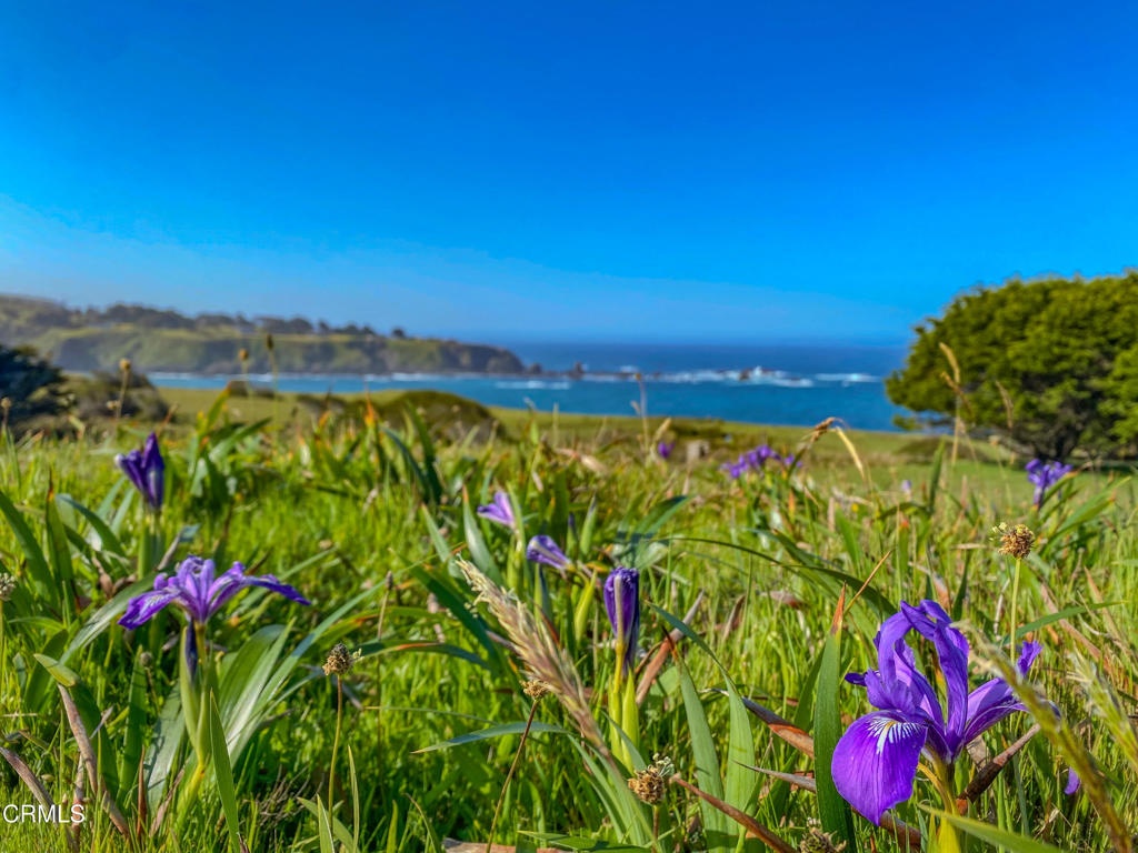 3400 Highway 1 Albion, CA 95410 - Photo 40 of 50 IMG_2867 2