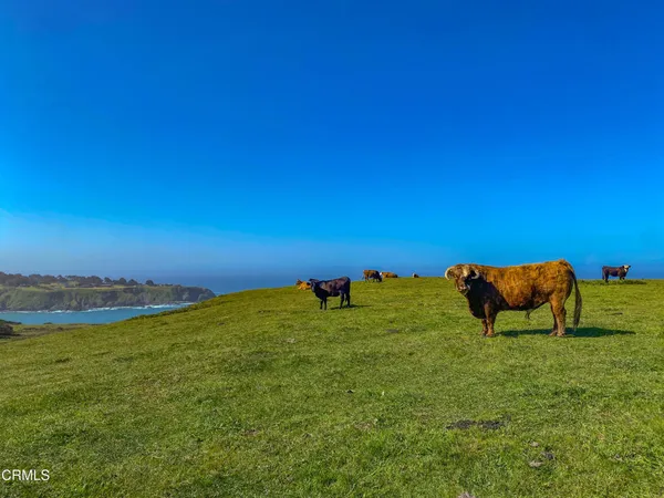 $6,995,000 | 3400 Highway 1, Albion, CA 95410