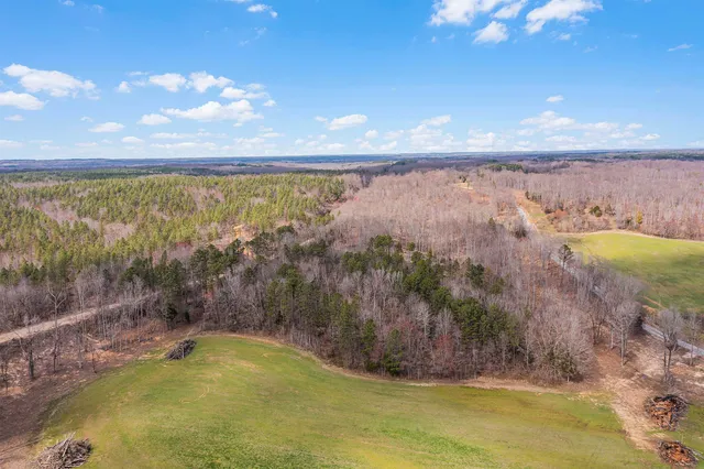 a close up of a plant