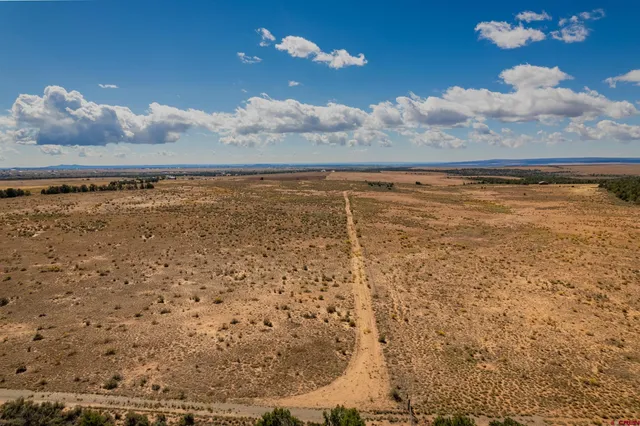 a view of an ocean and beach