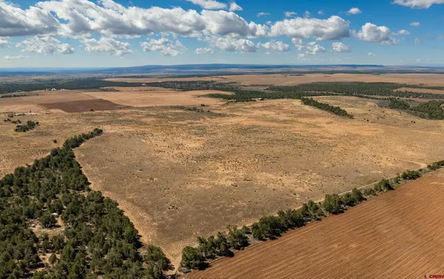 a view of an ocean beach