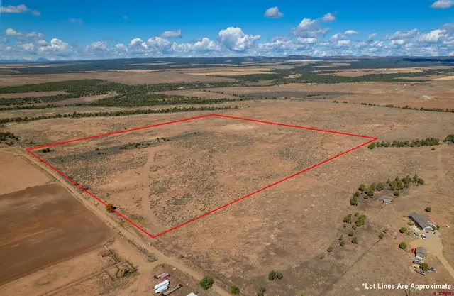 a view of an ocean beach