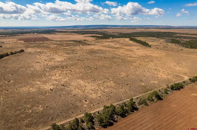 a view of a refrigerator in the kitchen