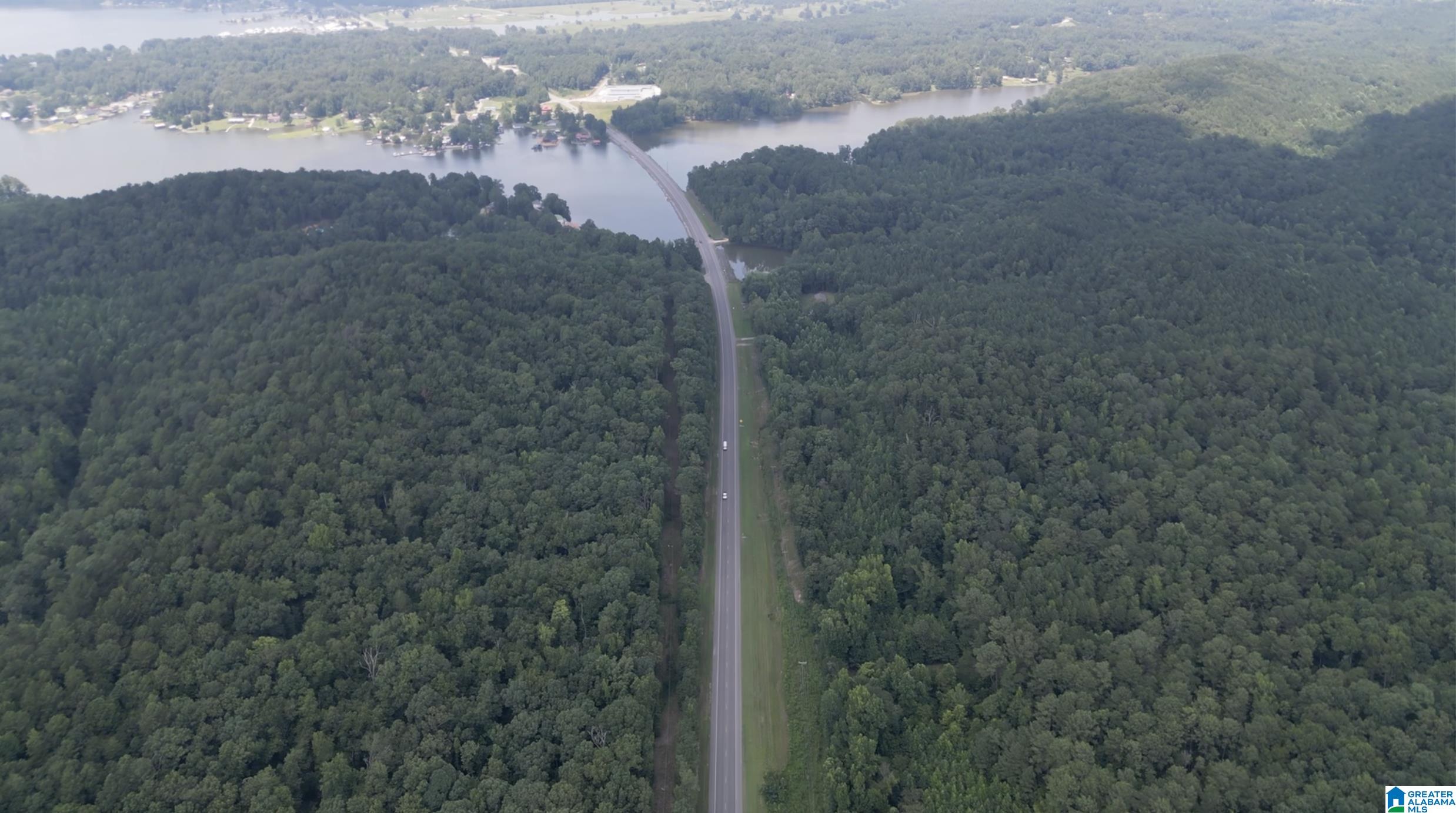 9600 Highway 77, Unit 1 Ohatchee, AL 36271 - Photo 2 of 18
