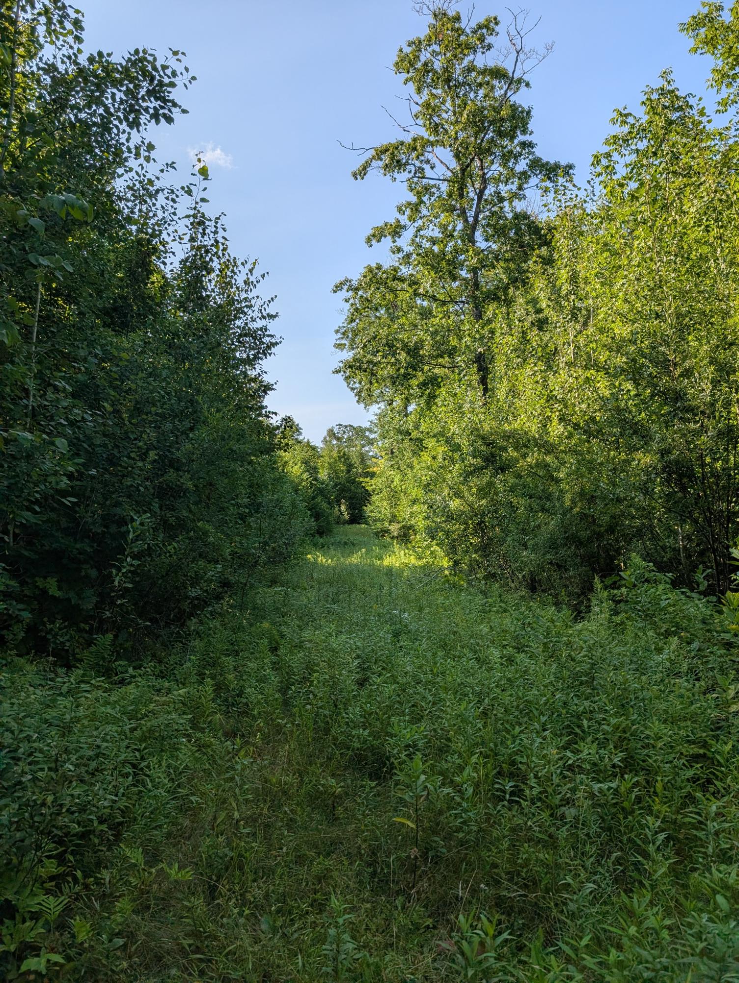 5 West Y Road Exeland, WI 54835 - Photo 24 of 25 Gallery Image 24