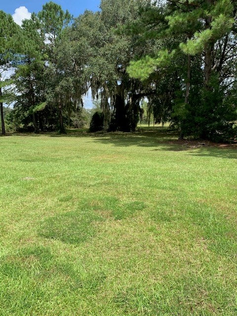 1481 River Road Lakeland, GA 31635 - Photo 5 of 32 Gallery Image 5