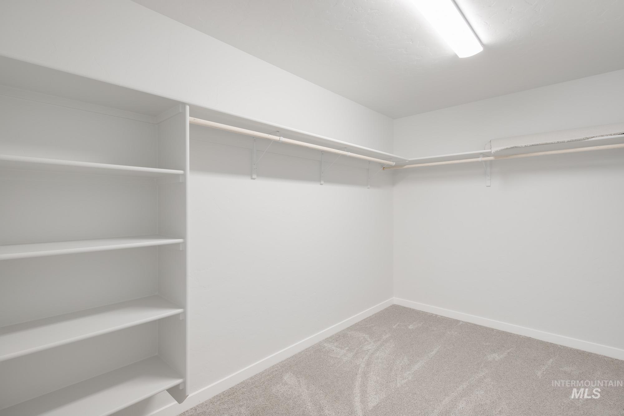5304 Castleton Avenue Nampa, ID 83686 - Photo 19 of 25 Walk in closet featuring light colored carpet