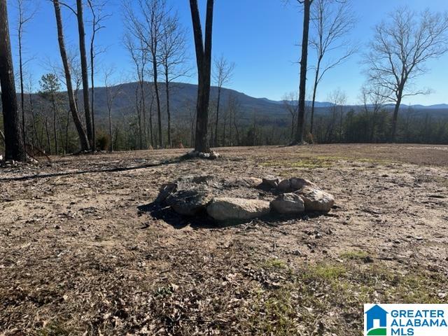 2575 Kentuck Road, Unit 40 AC Oxford, AL 36203 - Photo 6 of 23