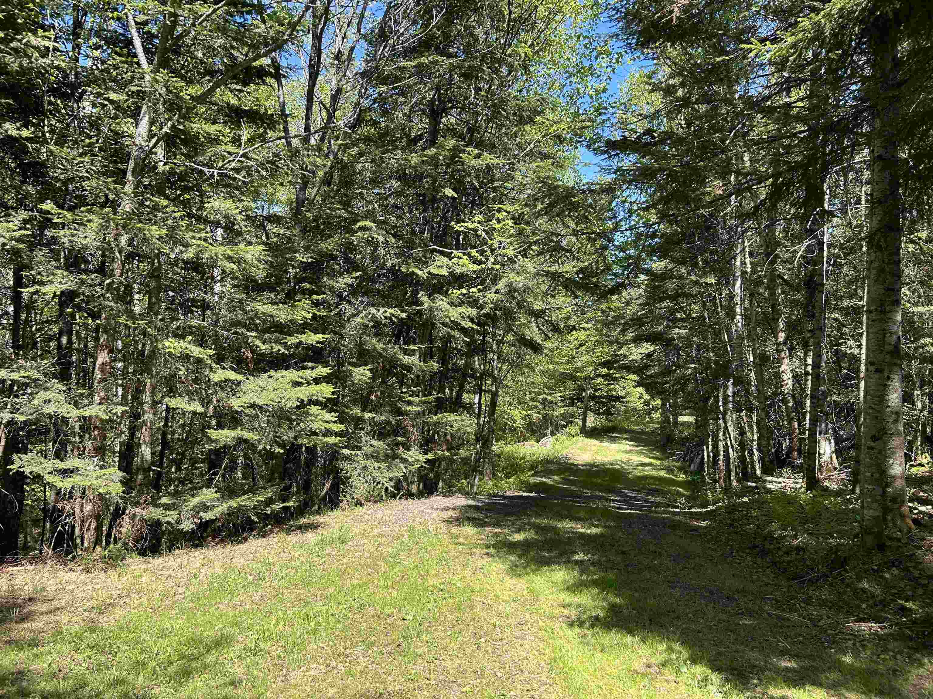 242 Noyes Road Stewartstown, NH 03576 - Photo 3 of 60