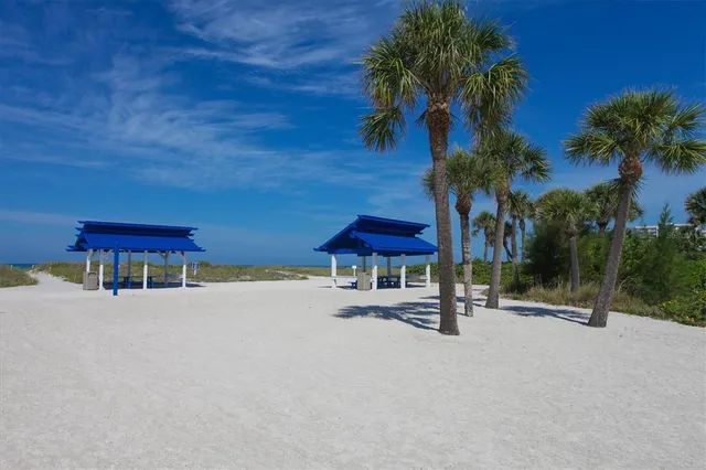 a view of a yard with a bench