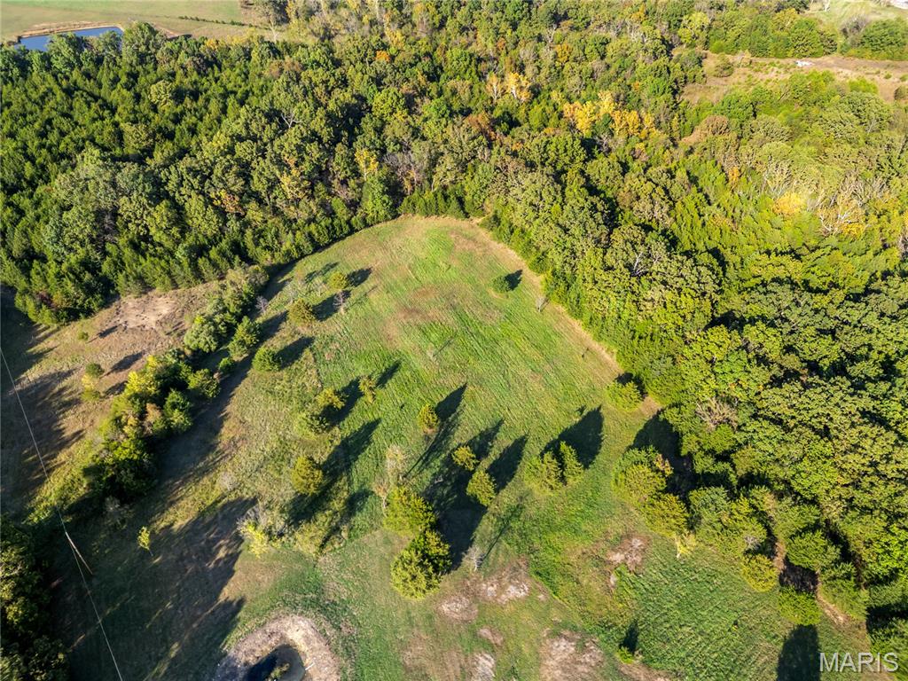 33945 Holiday Hills Road Richland, MO 65556 - Photo 33 of 35