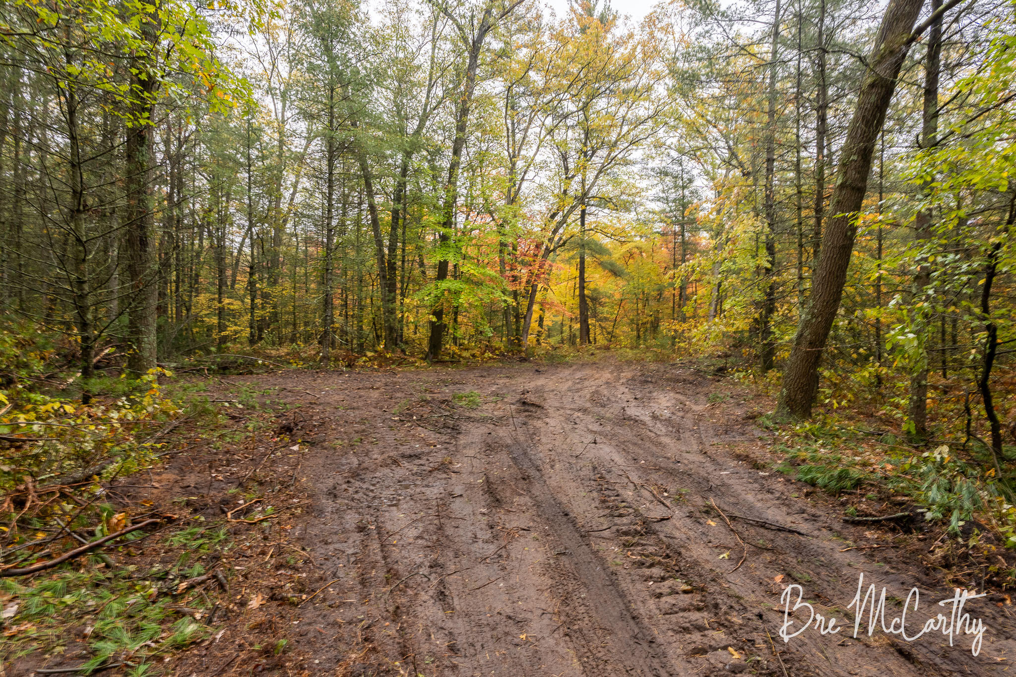 4 Russell Road Muskegon, MI 49445 - Photo 4 of 11 Parcel 4 - Possible Clearing for Home