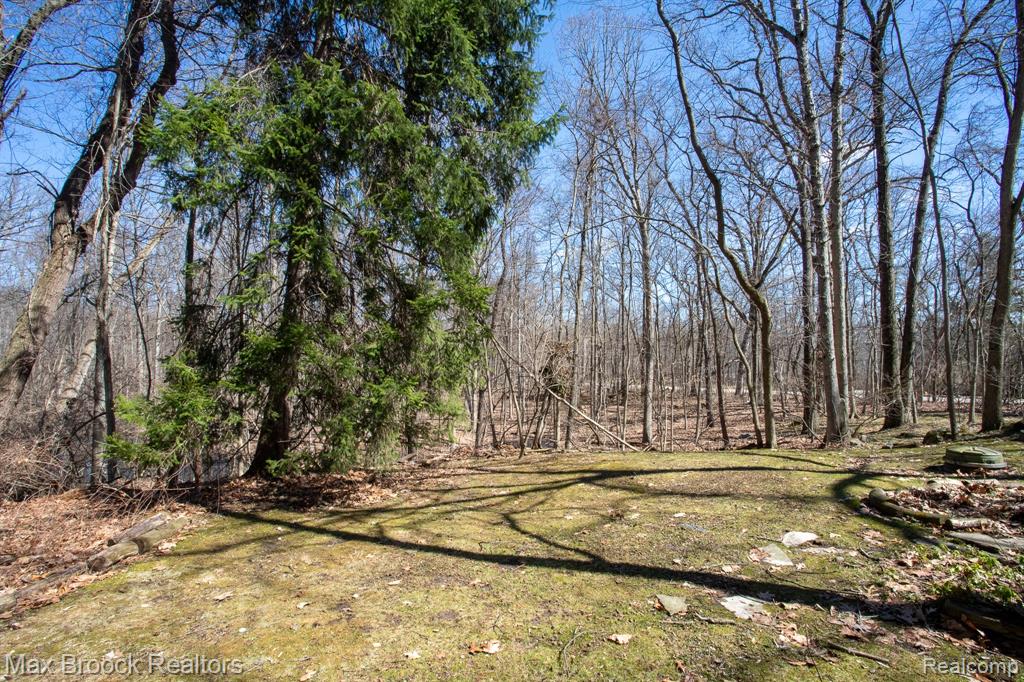30875 Franklin Road Franklin, MI 48025 - Photo 77 of 86