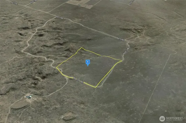 a view of a tree in a yard