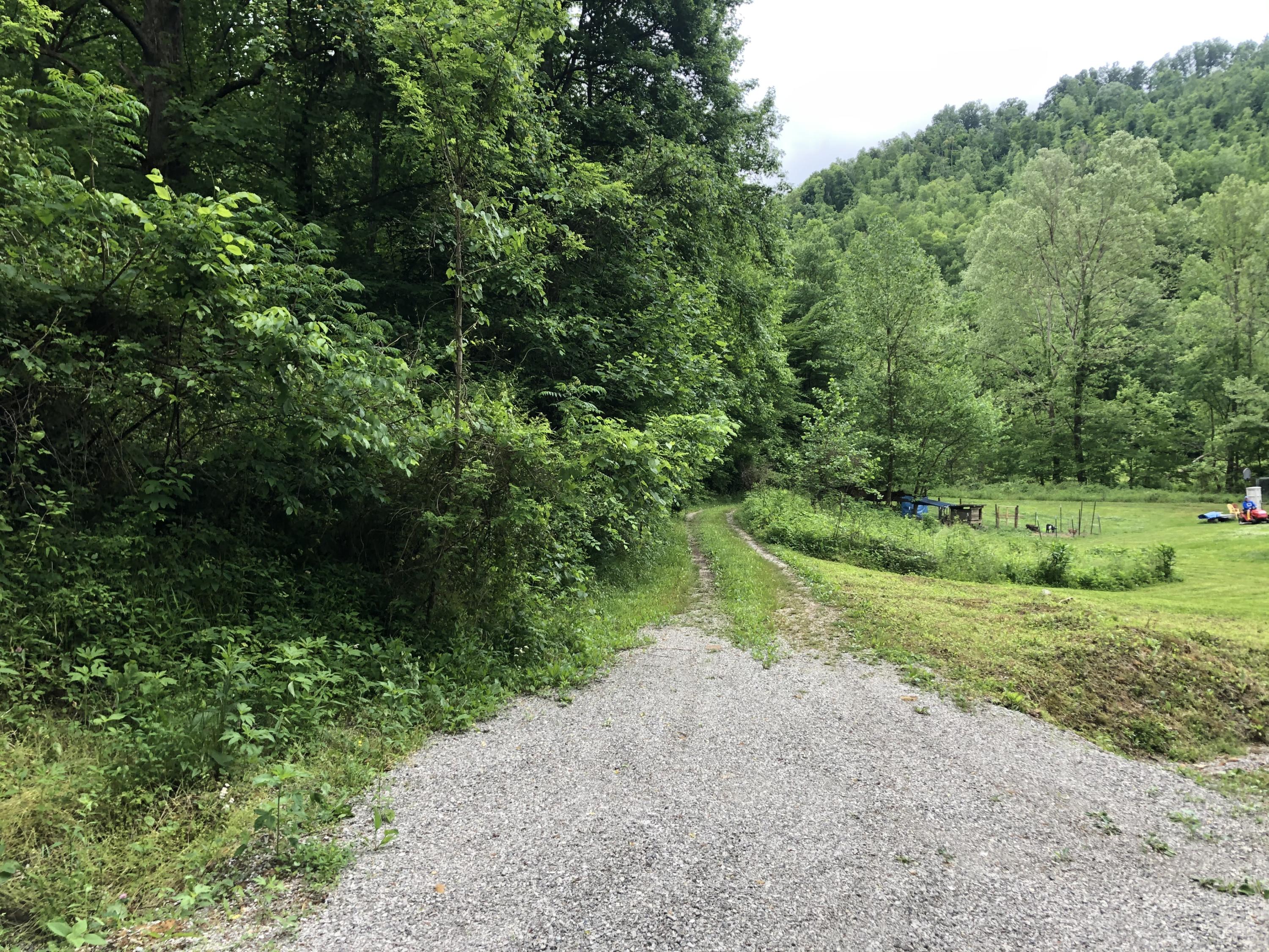 26 Bailey Branch Road Walker, KY 40997 - Photo 13 of 43 IMG_7112