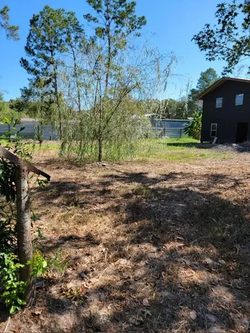a view of a yard with plants and a large tree