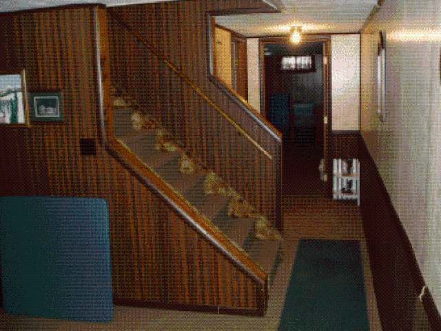 170 1st Street Phillips, WI 54555 - Photo 17 of 19 Gallery Image 17