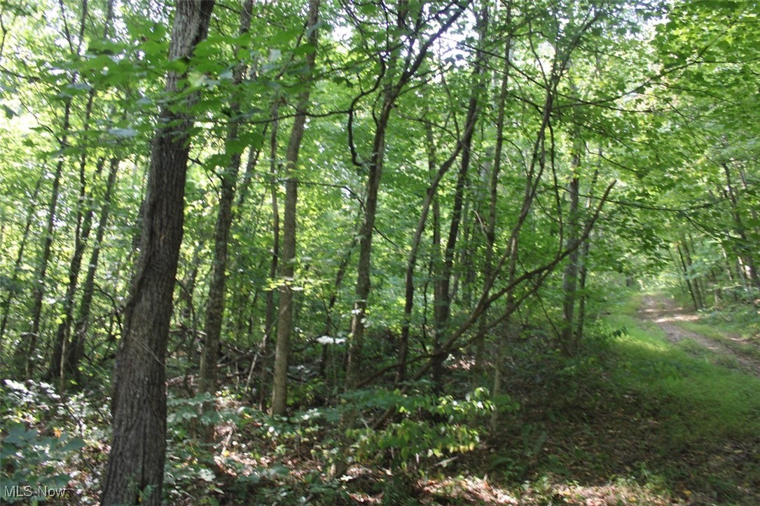 Leffler Road Roseville, OH 43777 - Photo 35 of 49 View of landscape