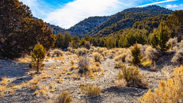 0 County Road 28 Levan, UT 84639 - Photo 54 of 207