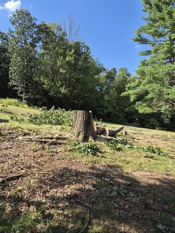 Lot 0 Mashapaug Road Holland, MA 01521 - Photo 4 of 5