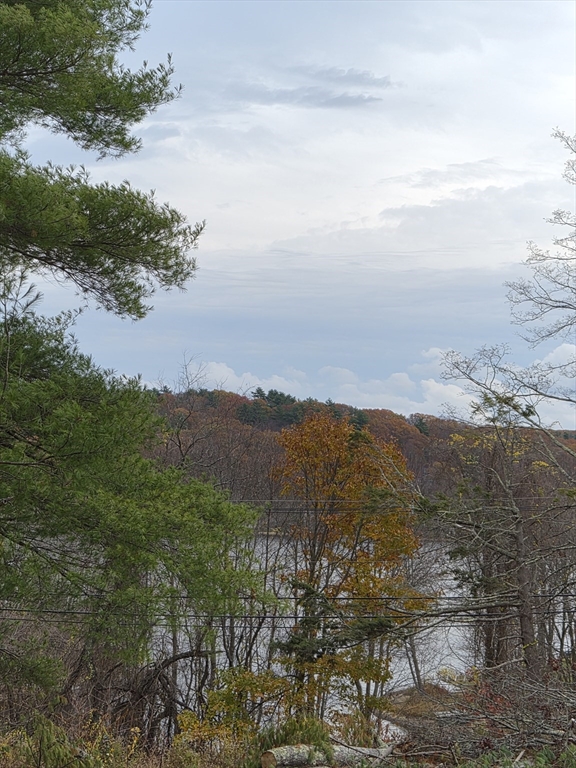 Lot 0 Mashapaug Road Holland, MA 01521 - Photo 5 of 5