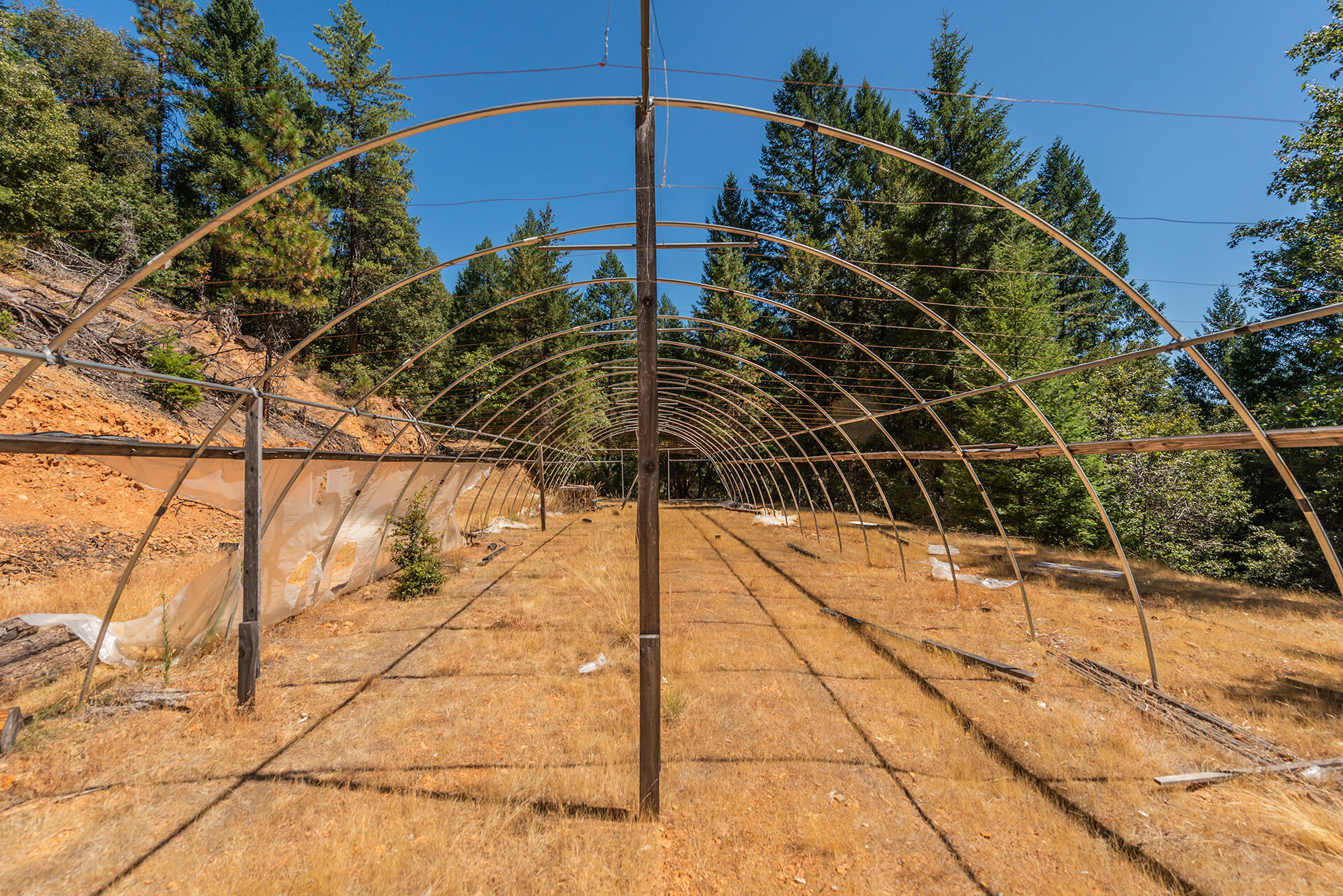1511 Upper Moore Gulch Road Trinity Center, CA 96091 - Photo 61 of 62 DSC_6743