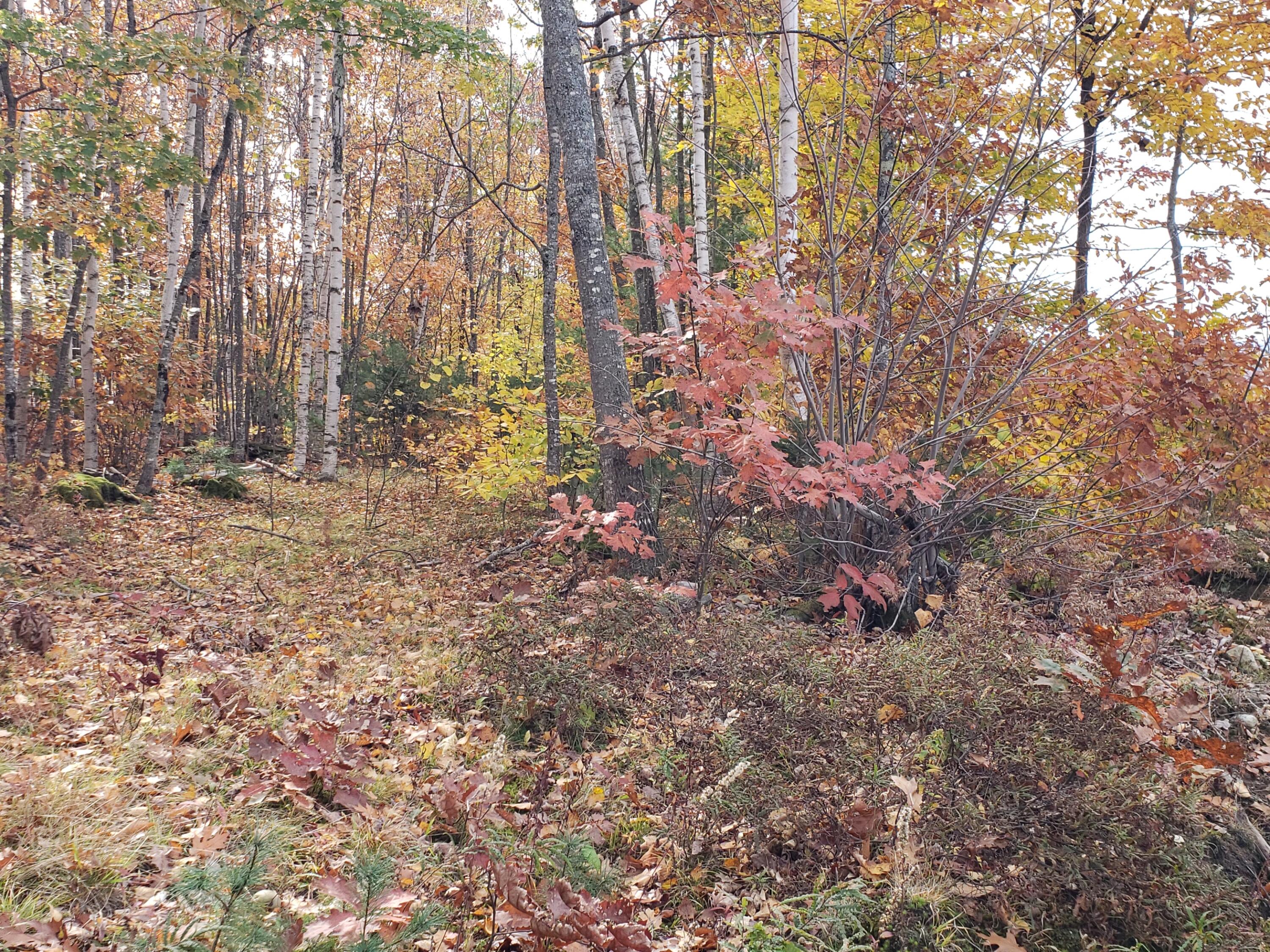 293 Scribner Hill Road Otisfield, ME 04270 - Photo 29 of 38 Lot
