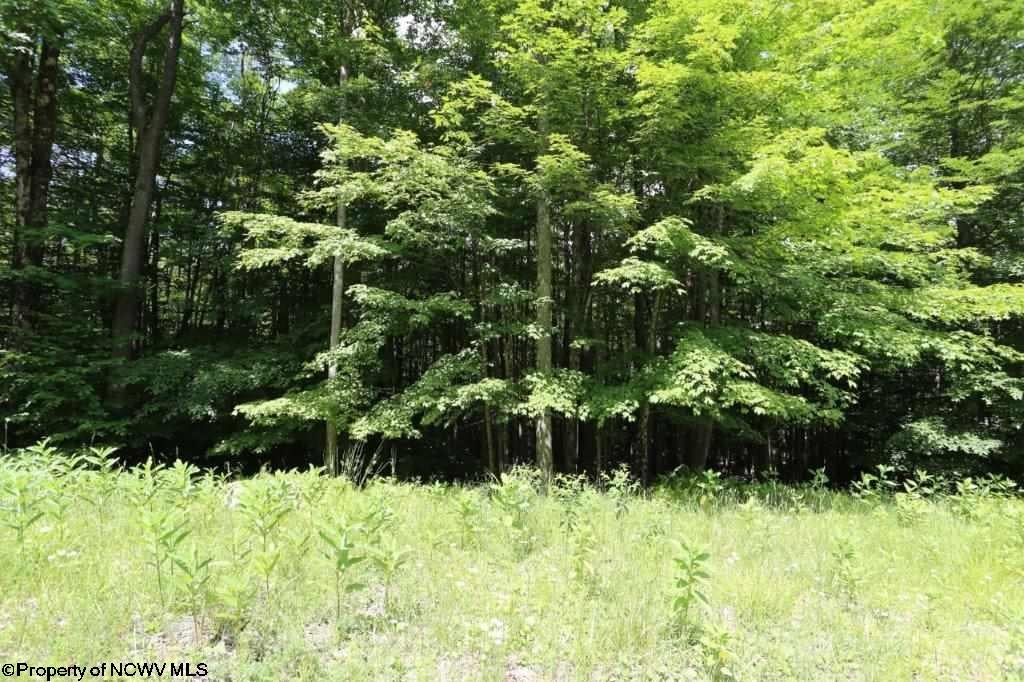 188 Cabin Mountain Road Davis, WV 26260 - Photo 12 of 15 Gallery Image 12