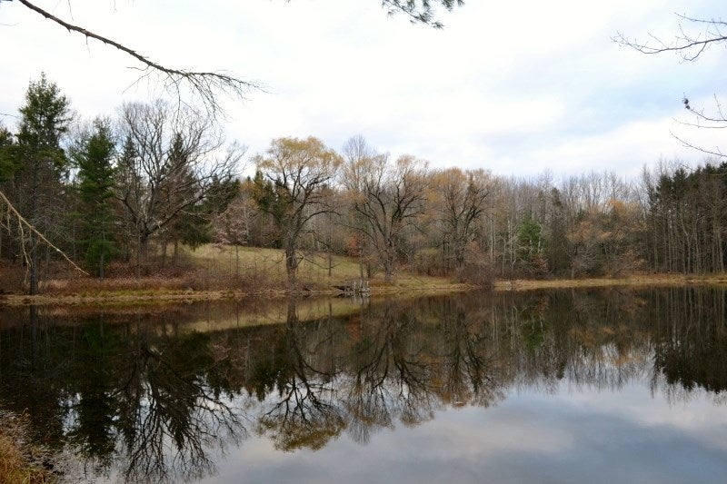 1809 Crayton Road Monroeton, PA 18832 - Photo 5 of 75 Gallery Image 5