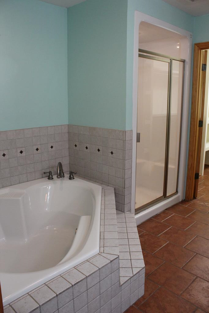 2498 Tindil Creek Road Slocomb, AL 36375 - Photo 16 of 49 Master Bath