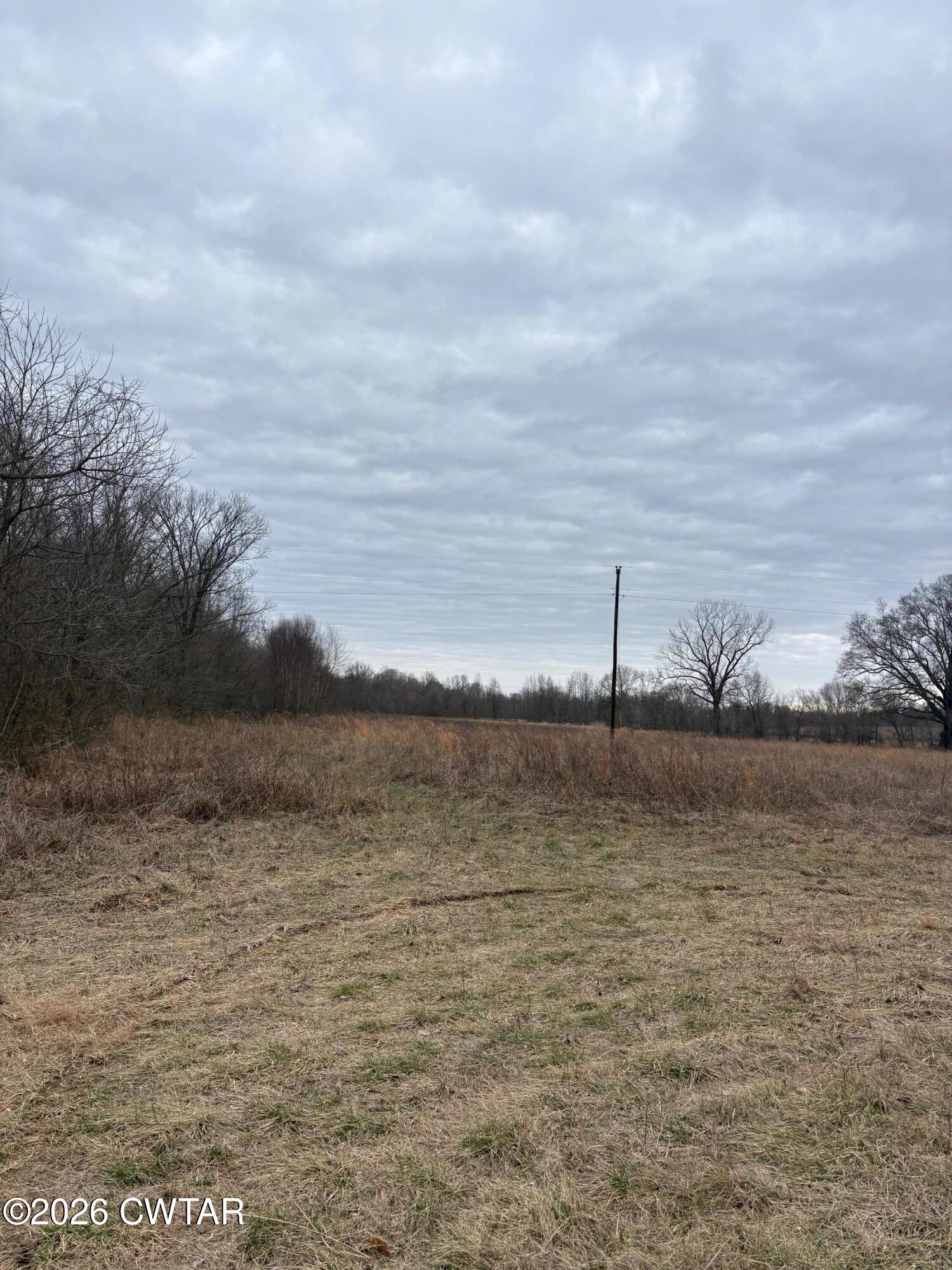 0 Forked Deer Road Ripley, TN 38063 - Photo 4 of 9 a view of lake