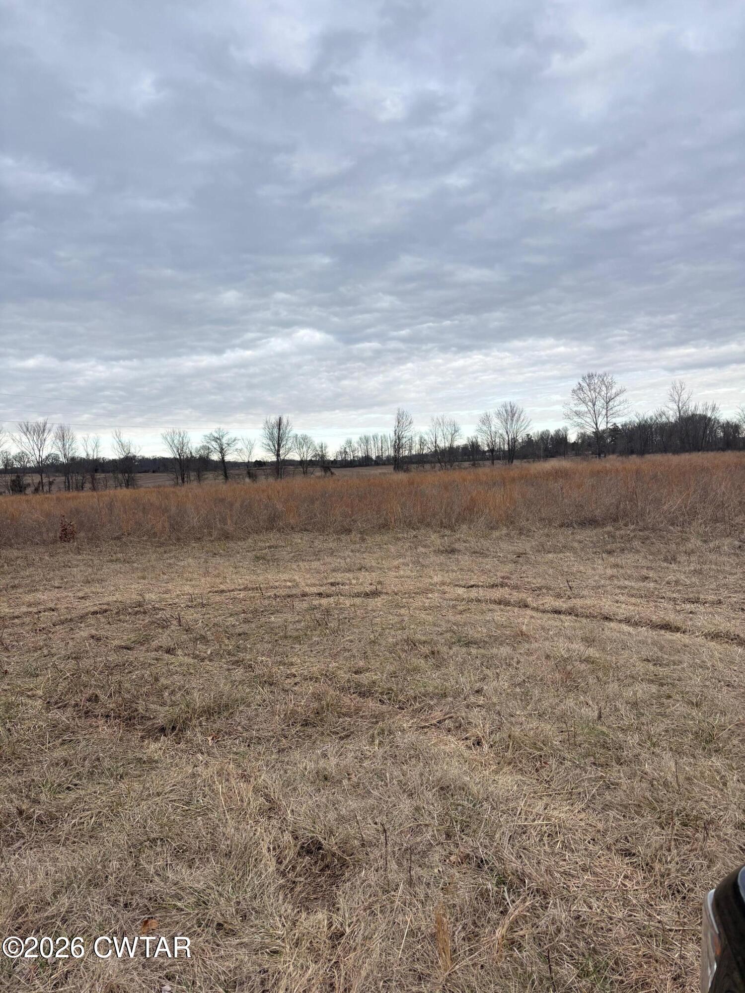 0 Forked Deer Road Ripley, TN 38063 - Photo 5 of 9 a view of an ocean