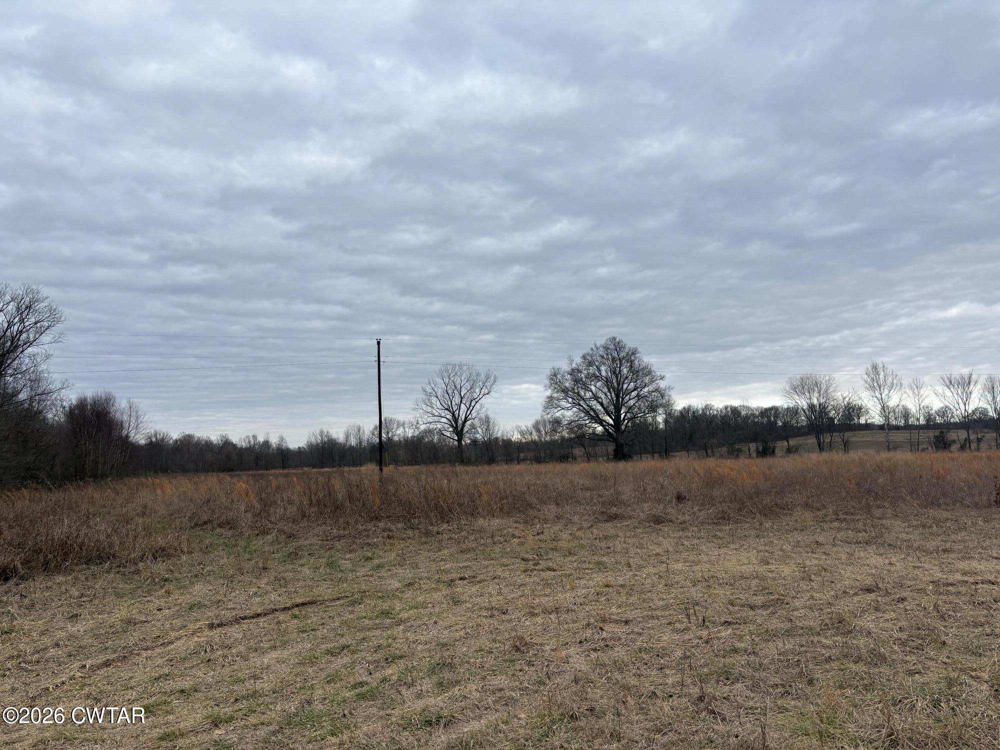 0 Forked Deer Road Ripley, TN 38063 - Photo 6 of 9 a view of lake