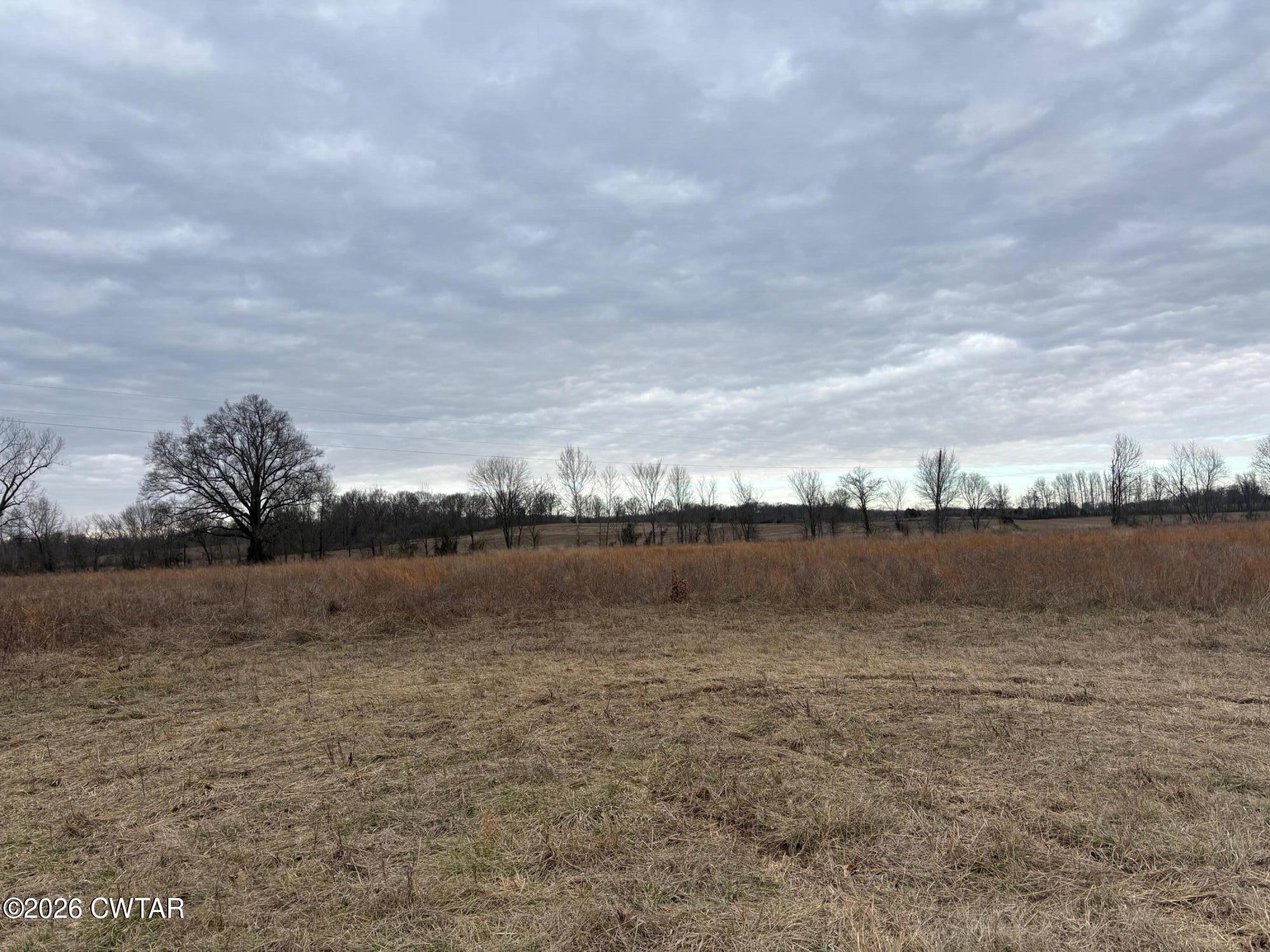 0 Forked Deer Road Ripley, TN 38063 - Photo 7 of 9