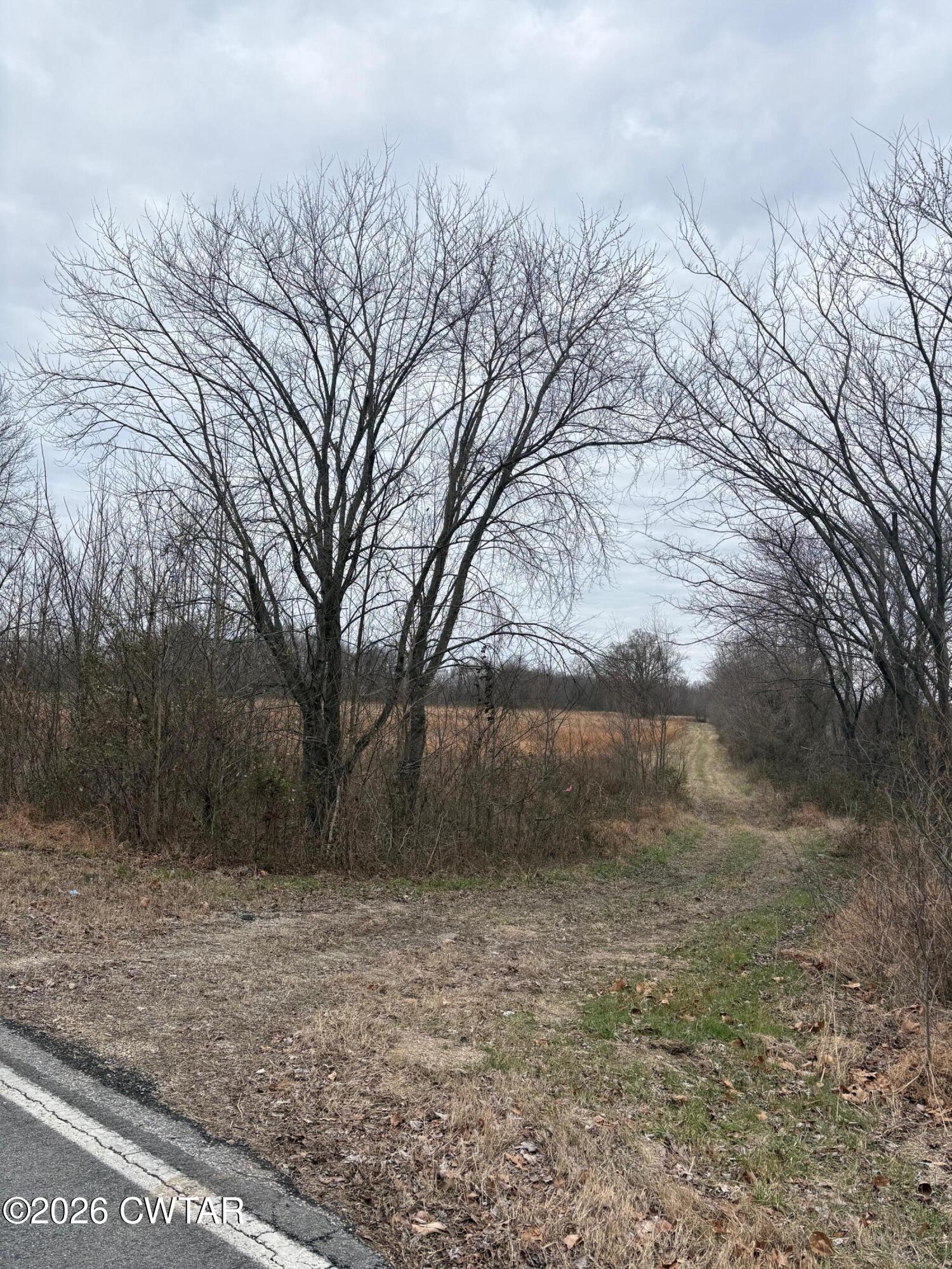 0 Forked Deer Road Ripley, TN 38063 - Photo 9 of 9 a view of a yard with a tree