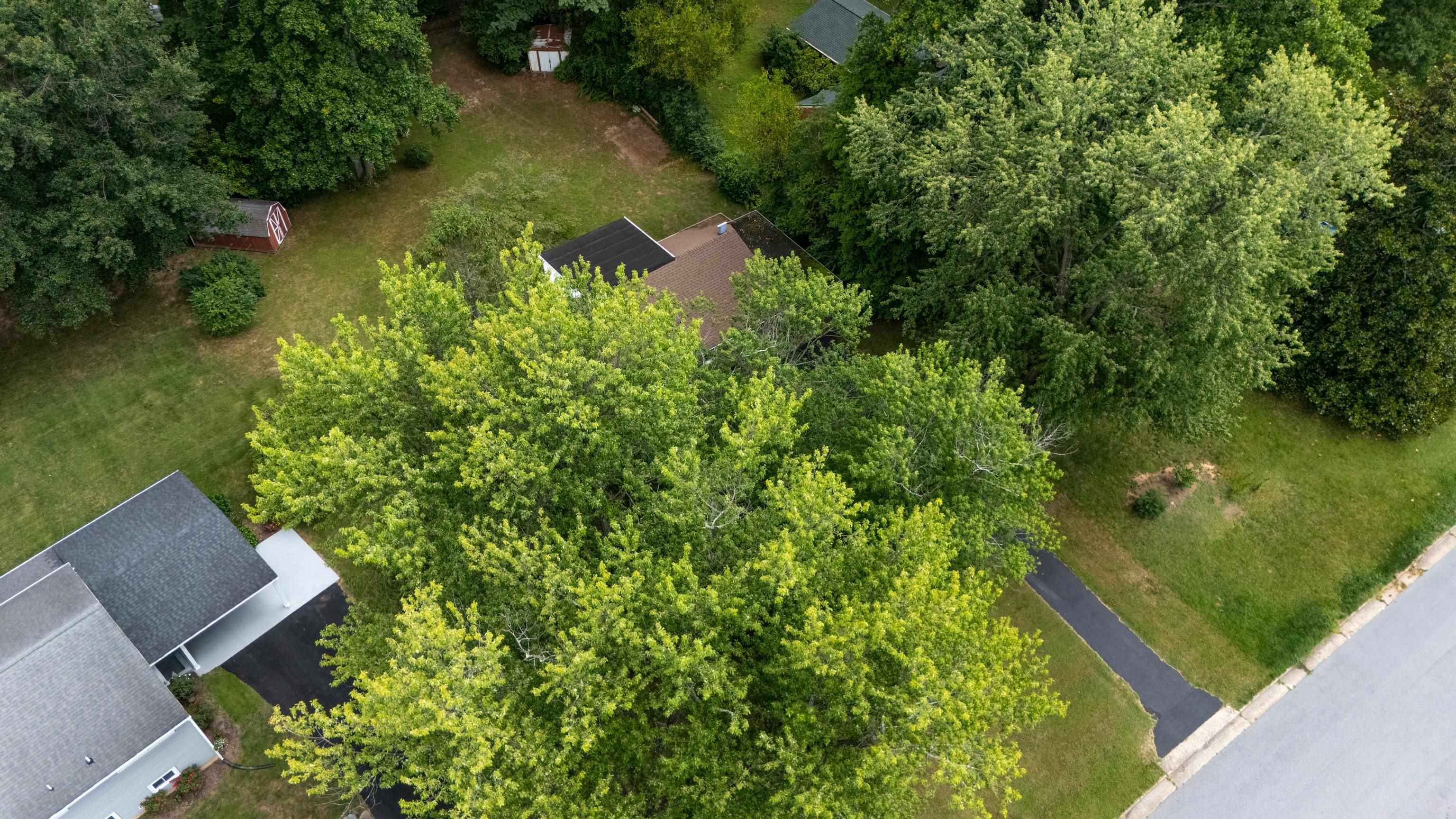 333 Shore Road Waynesboro, VA 22980 - Photo 32 of 36 Gallery Image 32