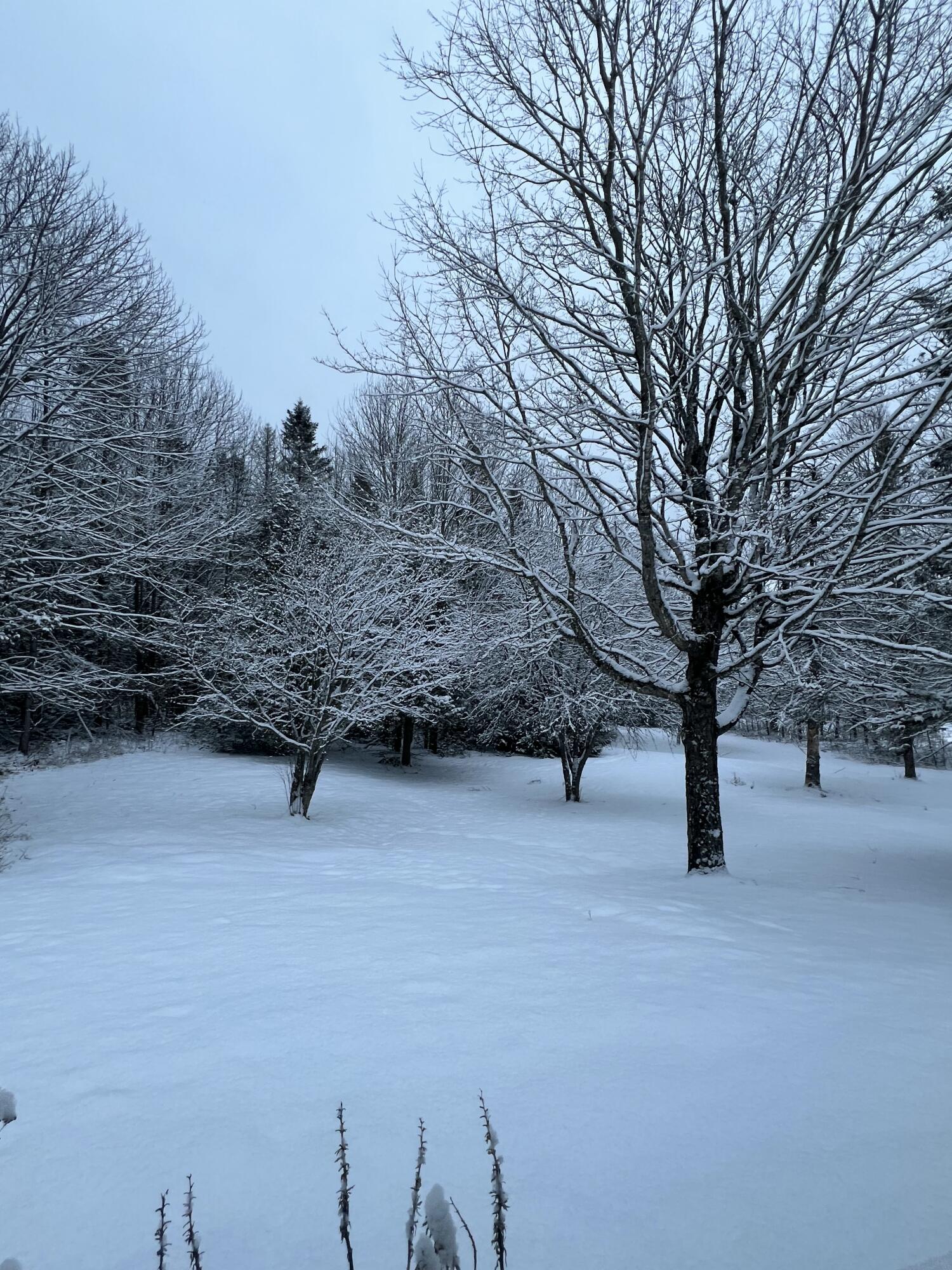 212 Timoney Lake Road Smyrna, ME 04780 - Photo 46 of 50 Winter in the "County"