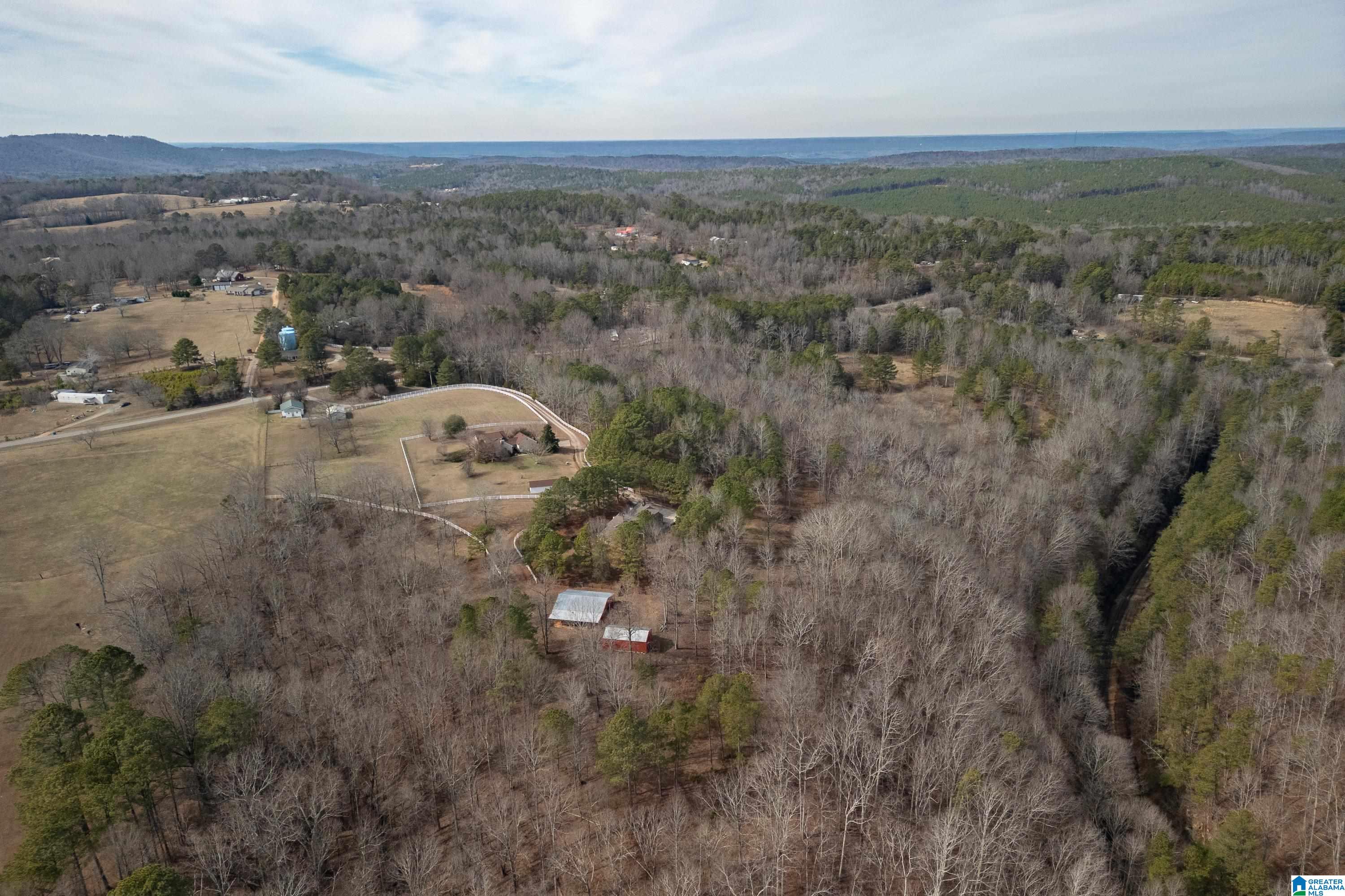 1276 County Highway 7 Hayden, AL 35079 - Photo 51 of 68